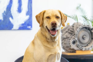 Sam